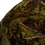 Белый Чай "Бай Му Дань Мин Цянь" (Белый Пион Предъясностный)