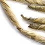 Зеленый чай "Юй Чжу" (Нефритовые Колонны)