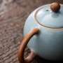 Чайник Жу Яо №09 "Си Ши"